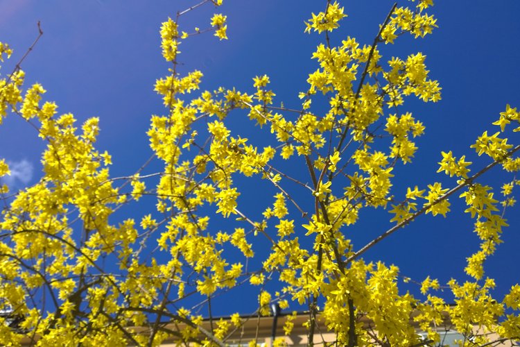 WP_20150416_10_20_30_Pro_XL.jpg