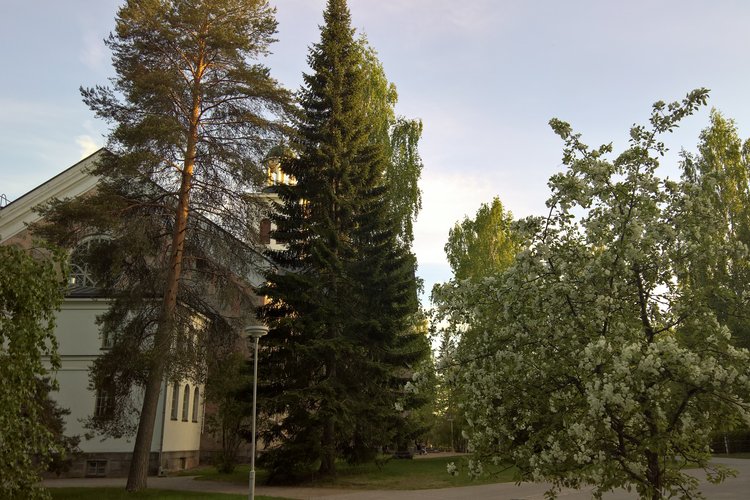 kesäpuiden takana kirkko_XL.jpg
