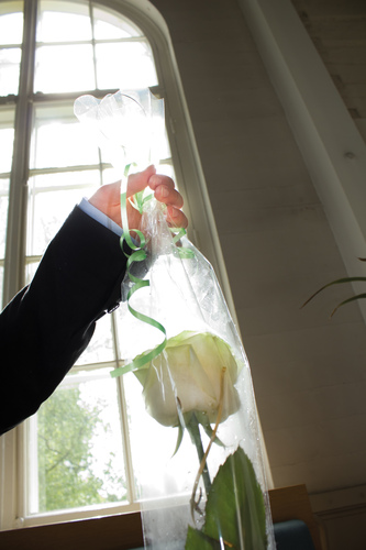 Käsi pitelee kukkapakettia, jossa on yksi valkoinen ruusu