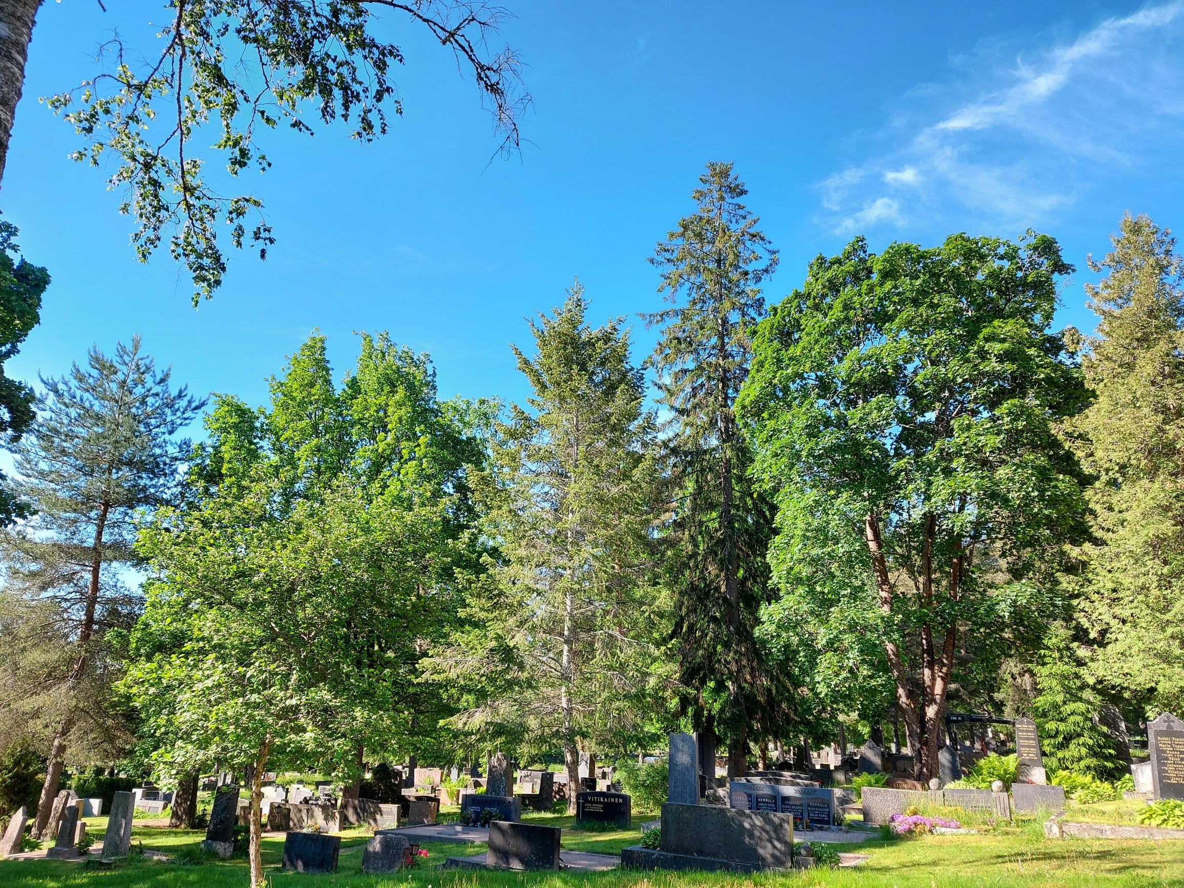 kesäinen hautausmaa, pienempi kuvakoko (1).jpg