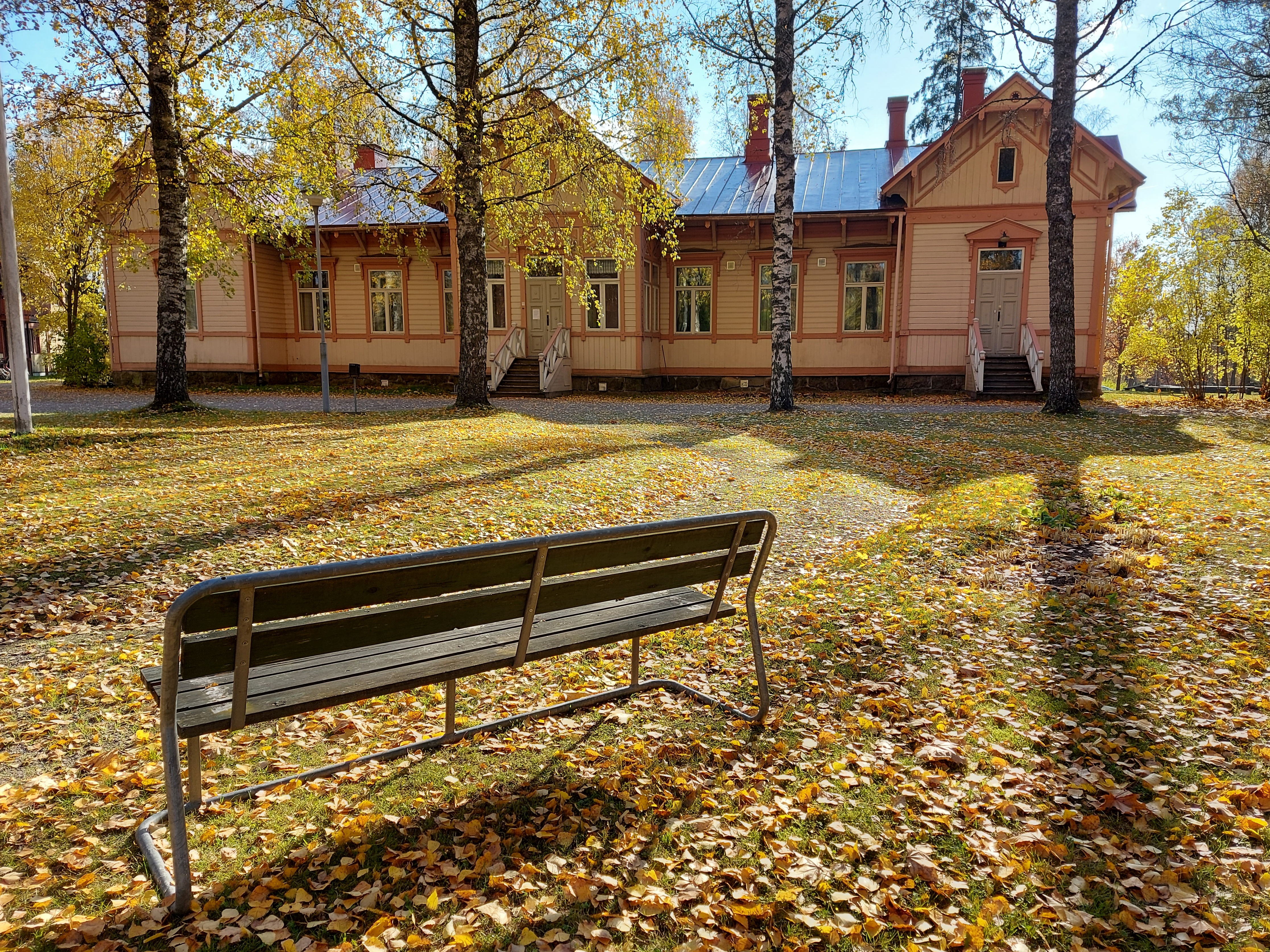 Vanha Pappila, keltaiset syyslehdet maassa