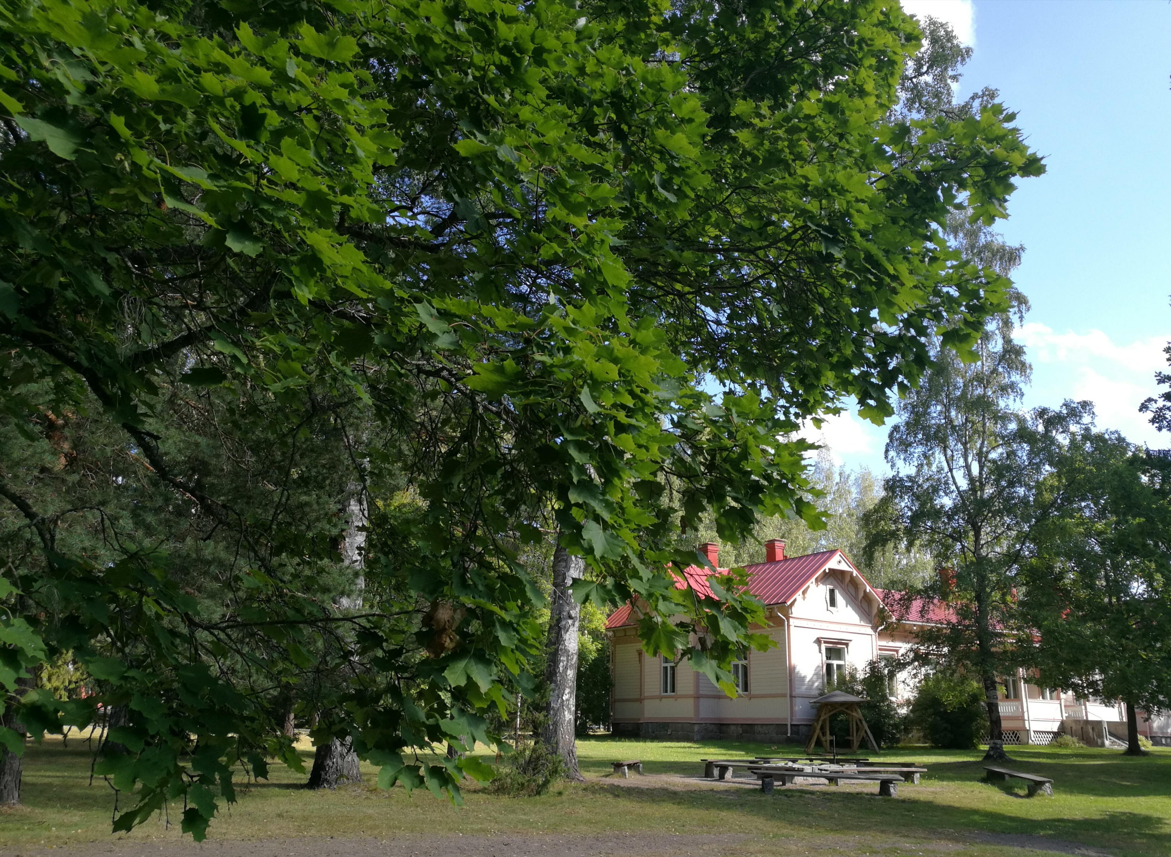 Vanhan Pappilan puistoa ja nuotiopaikka