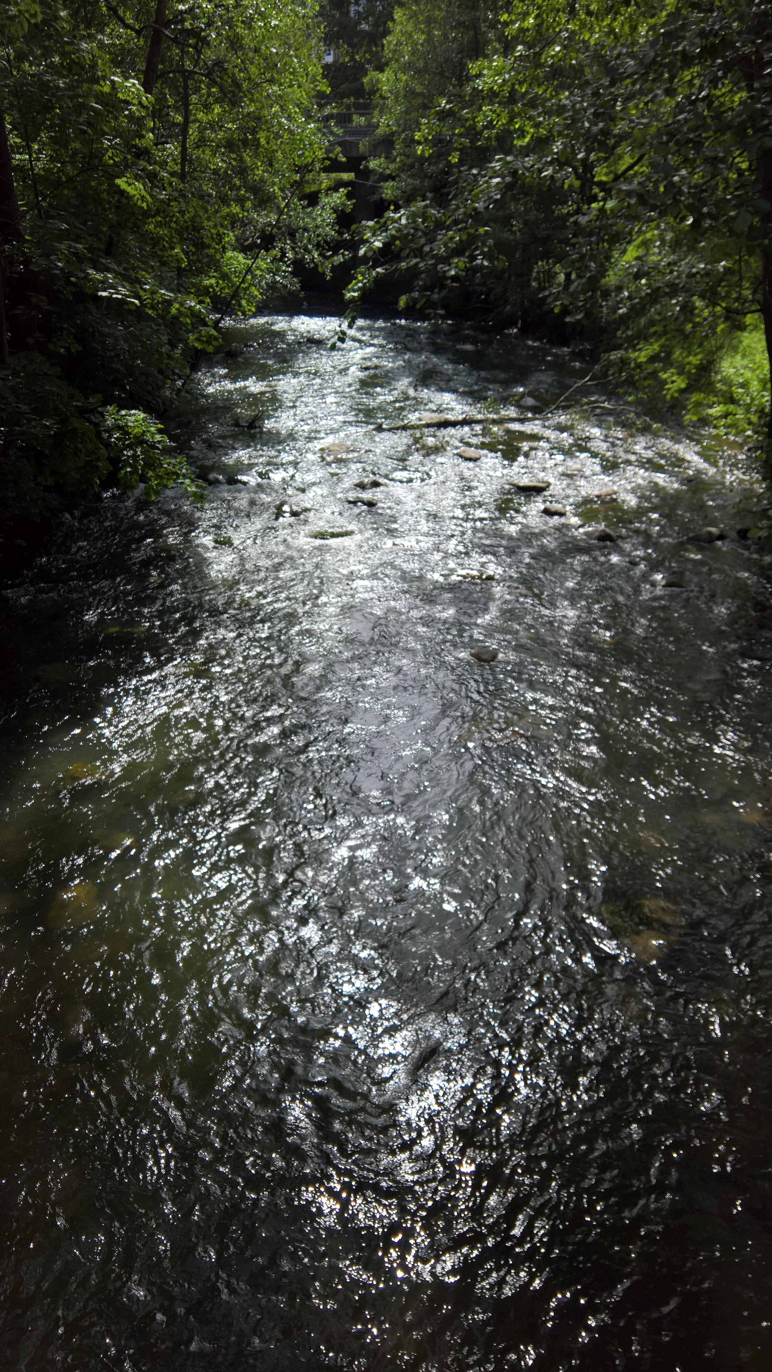 virtaava joki.jpg