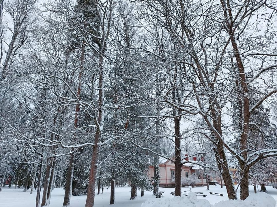 Vanha Pappila ja lumisia puita